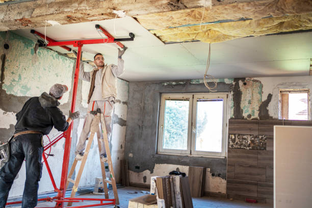 Best DIY Insulation Kits and Guidance in Brightwood, VA