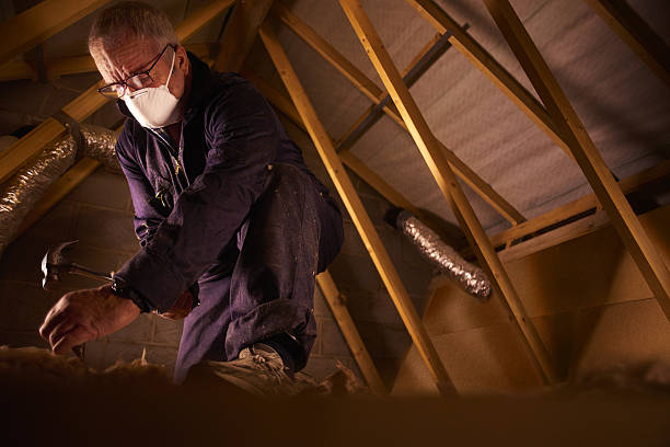 Best Eco-Friendly Insulation in Brightwood, VA